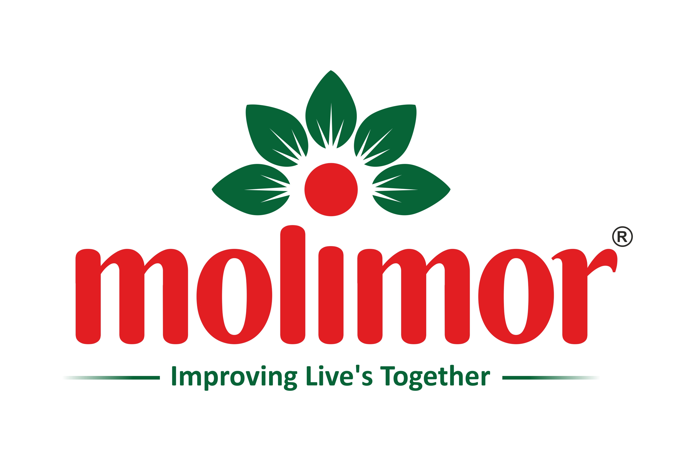 Molimor_Logo_SObTUFnsEy